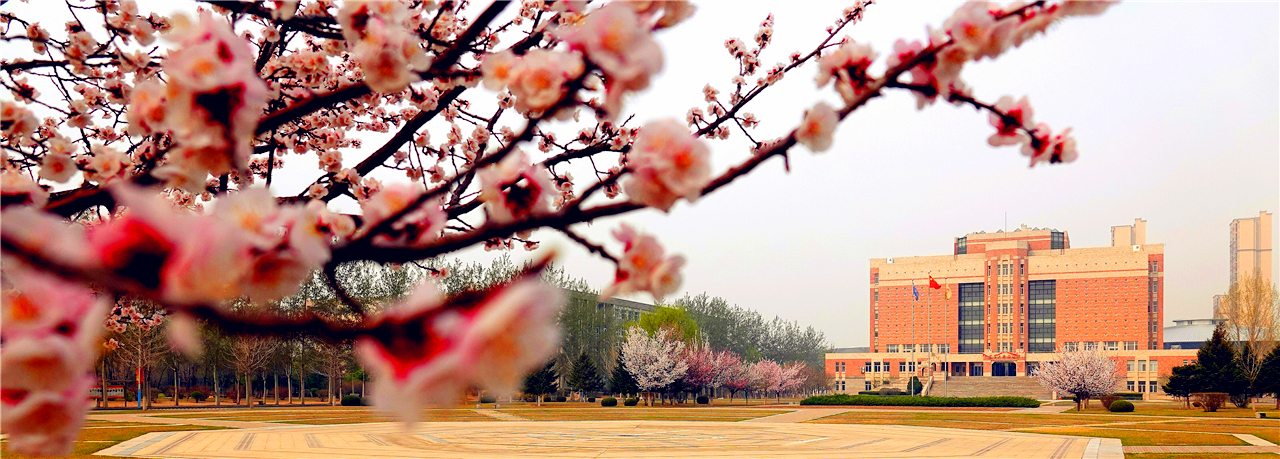 辽宁大学校园春景