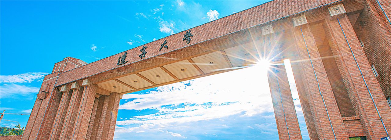 辽宁大学蒲河校区校门