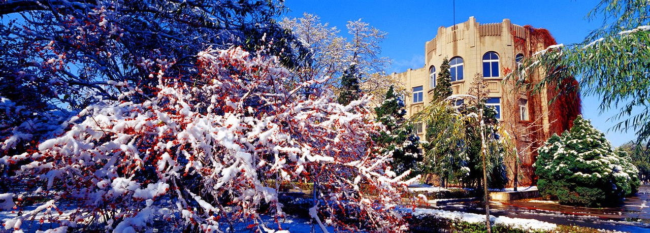 辽宁大学校园雪景